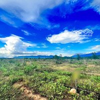 Đất Trang Trại Phước Tiến - Bác Ái, Ninh Thuận | Đầu Tư Sinh Lời Cao