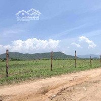 Bán Đất Nông Nghiệp Diện Tích Lớn Tại Ninh Thuận