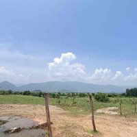 Bán Đất Nông Nghiệp Diện Tích Lớn Tại Ninh Thuận
