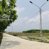 Bán Nhanh 1010,5M2 Đất, Ngay Chợ Gần Trường Học Dân Đông. Giá 320 Triệu