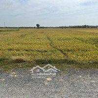 Đất Mặt Tiền Nhựa Nhánh Ql60, Lương Hòa, Châu Thành, Trà Vinh