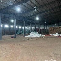 Cho Thuê Kho 6.800M2 - Tổngdiện Tíchđất 2,4Ha