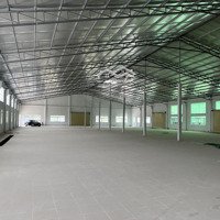 Kho Xưởng 2.000M2 Đến 4.000M2 Đất Skc Có Pccc Tự Động Và Trạm Điện 3P