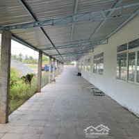 Kho Xưởng 2.000M2 Đến 4.000M2 Đất Skc Có Pccc Tự Động Và Trạm Điện 3P