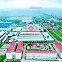Cho thuê dài hạn 12.000m2 nhà xưởng đẹp tại Khu công nghiệp Bảo Minh, tỉnh Nam Định