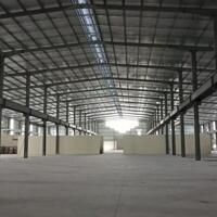 Cho thuê nhà xưởng tiêu chuẩn tại KCN Quang Minh, Mê Linh, Hà Nội diện tích 3200m2 - 8000m2