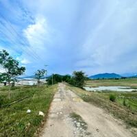  Đất Trang Trại Phước Tiến, Bác Ái, Ninh Thuận | Đầu Tư Tuyệt Vời Giá 8xx Triệu 