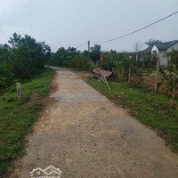 Hơn 1,800M2 Đất Thổ Cư A Lưới View Suối Phù Hợp Làm Farm