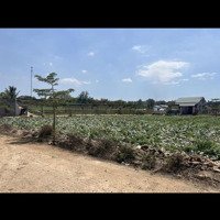 Bán Đất Đức Trọng, Lâm Đồng Cách Sân Bay Liên Khương 10 Phút Di Chuyển