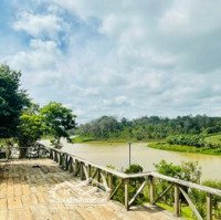 Nhà Vườn Đẹp Hơn 1000M2 Ngay Hoà Thuận Giá Bán 2,250 Tỷ
