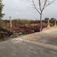 Cần Bán Lô Đất Chính Chủ 500M2 Tại Xã Bình Khánh, Huyện Cần Giờ