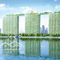 Chính Chủ Cần Bán Căn Hộ Chung Cư Dự Án Diamond Lotus Riverside