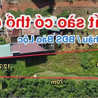 Mt Nguyễn Đức Cảnh, Bảo Lộc, 1100M2.Sẵn 300M Tc