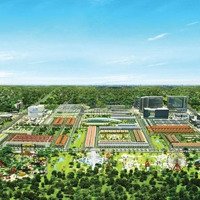 Chính Chủ Cần Tiền Bán Gấp Nền Đất Thuộc Dự Án Sunflower City