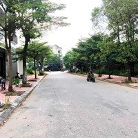 Ngộp- Từ Sơn Garden City- Đồng Ky- Cắt Lỗ Từ 31 Triệu/M2 Còn 19 Triệu/M2 Không Thể Rẻ Hơn