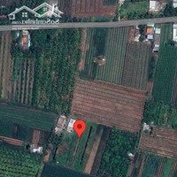 Bán Gấp Đất Bình Phan 990M2 ,Gần Dự Án Bờ Kè Kênh Chợ Gạo( Có T.lượng)