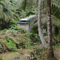 Cần Bán Gấp Đất Vườn Dừa