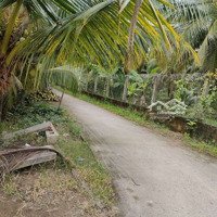 Cần Bán Gấp Đất Vườn Dừa