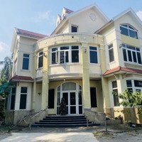 Bán Biệt Thự Lái Thiêu 3126M2 Đất Vuông Vắn