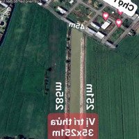 Thửa Đất Lớn 35X251M Đường Cầu Cả Môn, Xã Phương Trà, Huyện Cao Lãnh