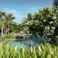 Mở Bán Toà T2 Căn Hộ The Ocean Suites Quy Nhơn Do Fusion Vận Hành, Thuộc Khu Maia Resort Quy Nhơn