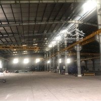 Cho Thuê 2 Kho Xưởng Kcn Phú An Thạnh, Dt: 4.000M2 - 8.000M2, Long An