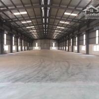 CHO THUÊ KHO, XƯỞNG DT 4800m2 TẠI KCN QUANG MINH. HÀ NỘI