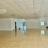 Cho Thuê Kho 280M2 Quang Trung Gò Vấp