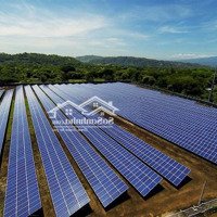 "Cần Sang Nhượng Gấp 1Mw Dự Án Điện Tại Gia Lai Thu Nhập Cao.