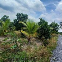 Quá Đẹp, 1280M2 Đất Vườn Dừa Mít, Kdc Bình Đức, 850 Tr