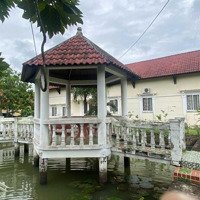 Resort Biệt Thự Vườn Cao Cấp 6000 M2 Bán Hoặc Cho Thuê Dài Hạn