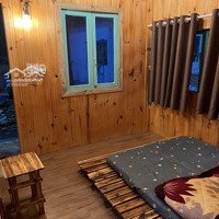 Homestay Caskameo Đà Lạt Cao Cấp,Phòng Mới ,View Đẹp,Sát Suối