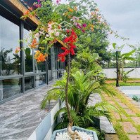 1Homestay 3 Sào Đẹp Mộng Mơ Thuộc Thành Phố Bmt, Cách Tt Chỉ 13Km Giá Chỉ 7,5 Tỷ Tl