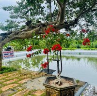 1Homestay 3 Sào Đẹp Mộng Mơ Thuộc Thành Phố Bmt, Cách Tt Chỉ 13Km Giá Chỉ 7,5 Tỷ Tl