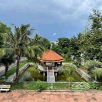 Cho Thuê Biệt Thự Vườn Hưng Định 2000M2