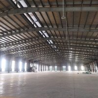 Cho Thuê Kho Xưởng 2400M2 Tại Kcn Long Hậu