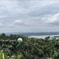Bán 2,4 Ha View Hồ Đại Ninh, Ngay Quốc Lộ 28B