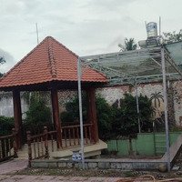 Hàng Hiếm - Biệt Thự Ngay Thị Trấn Tân Phú