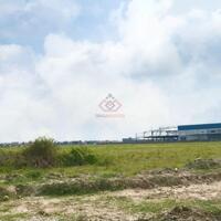 Cần nhượng lại 4,3ha đất trong cụm công nghiệp Gia Phú tỉnh Ninh Bình