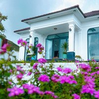 Ngộp- Giảm Giá Bán Nhanh Căn Villas 4 Pn Siêu Đẹp Trung Tâm Bảo Lộc- Chủ Đang Kẹt Lắm Rồi Khách Ơi