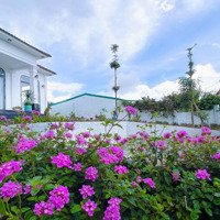 Ngộp- Giảm Giá Bán Nhanh Căn Villas 4 Pn Siêu Đẹp Trung Tâm Bảo Lộc- Chủ Đang Kẹt Lắm Rồi Khách Ơi