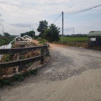Đất Nông Nghiệp Cần Bán Gấp, Tân Phước Khánh