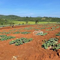 Chính Chủ Bán Gấp Lô Đất Mặt Tiền, Shr Và Thổ Cư Xã Tân Châu- Di Linh- Lâm Đồng, Thích Hợp Đầu Tư