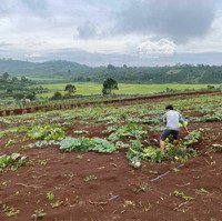 Chính Chủ Bán Gấp Lô Đất Mặt Tiền, Shr Và Thổ Cư Xã Tân Châu- Di Linh- Lâm Đồng, Thích Hợp Đầu Tư