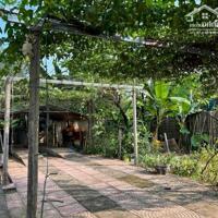 Chủ cần bán 1460m sẵn khuôn viên nhà vườn tại Lương Sơn giá rẻ do k có nhu cầu sử dụng