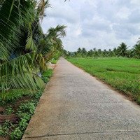Đất Vườn Dừa