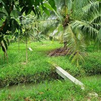 Đất Vườn Dừa
