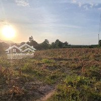 Cần Bán Đất Tại Hàm Cần Hàm Thuận Nam Bình Thuận