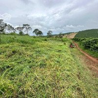 Tân Châu Di Linh Sát Ql28. Diện Tích 1000M2, Giá Bán 449 Triệu, Đường Ô Tô, Sổ Riêng.