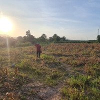 Cần Bán Đất Tại Hàm Cần Hàm Thuận Nam Bình Thuận
